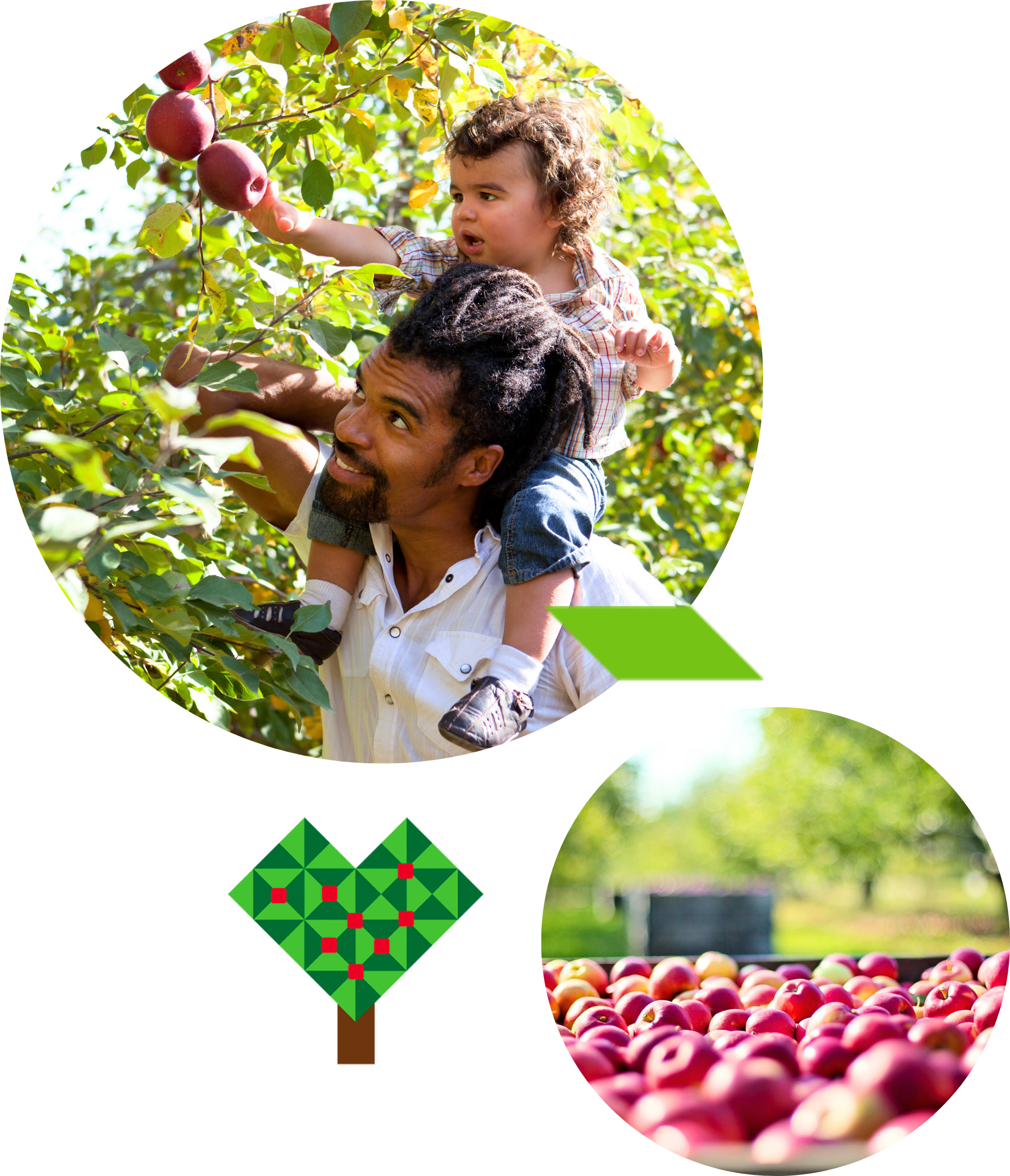 Apple Atcha Community Section Image