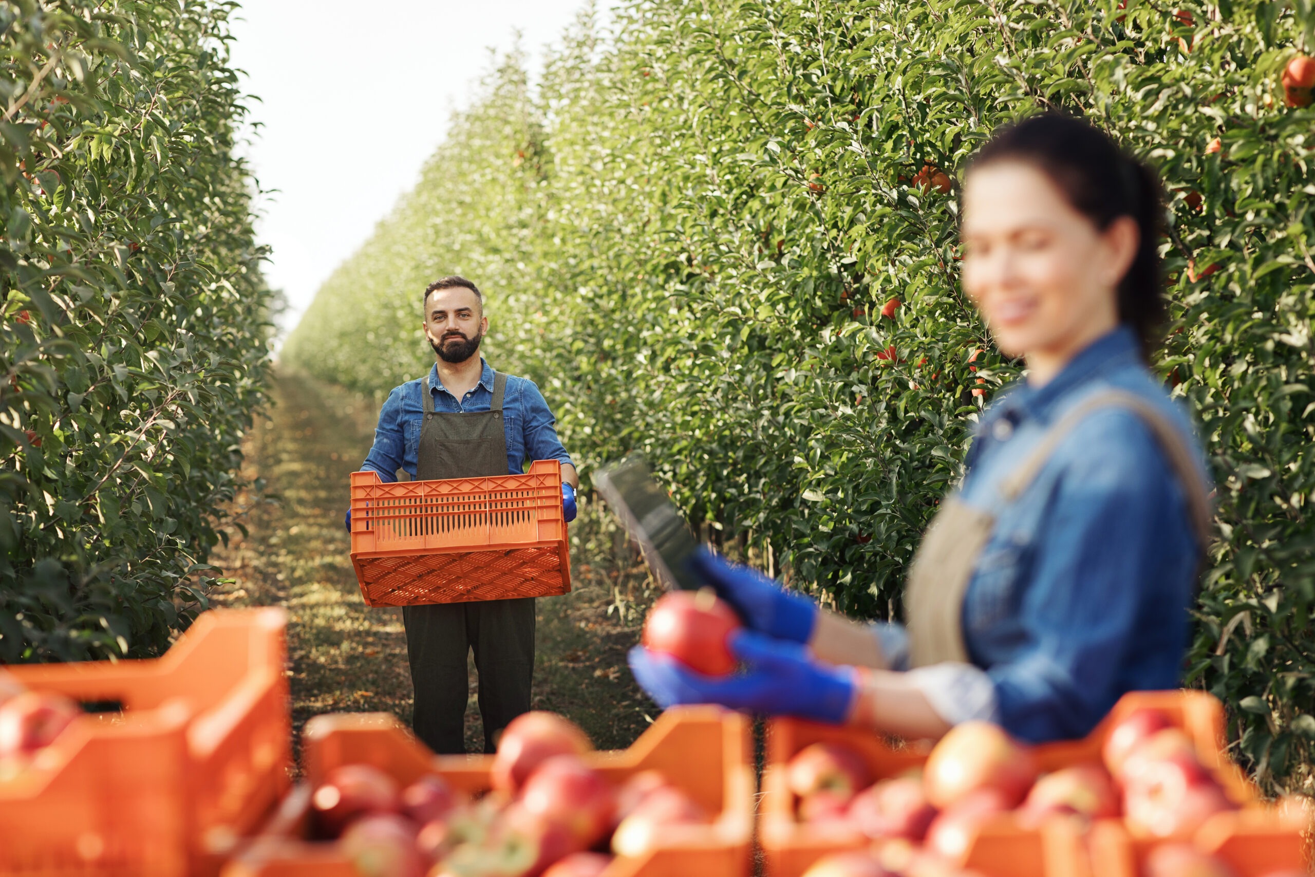 Navigating the Different Investment Options for EB-5 Visas